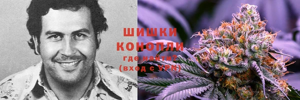 тгк Бронницы
