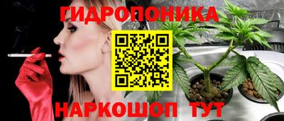 ECSTASY Донской