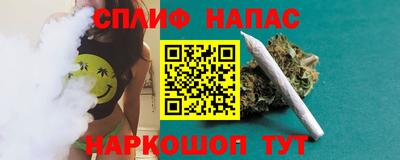 тгк Дубна