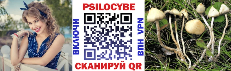 Псилоцибиновые грибы Magic Shrooms Бутурлиновка