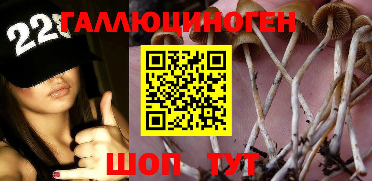 Галлюциногенные грибы GOLDEN TEACHER Бутурлиновка