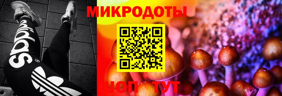 Псилоцибиновые грибы Magic Shrooms  Бутурлиновка 