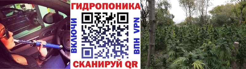 Бошки Шишки SATIVA & INDICA  ссылка на мегу сайт  Бутурлиновка  закладки 
